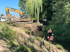 Work begins on restoring Hylebos Creek in Fife, WA