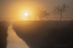 Plein soleil sur le marais