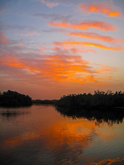 2023 (challenge No. 3 - old unpublished pics ) - Day 204 - dawn breaking over the mangroves at Makasutu, The Gambia 2011