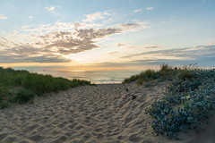 Dunes and North Sea (Katwijk aan zee)