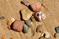 Shells and pebbles,sand and stones