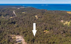 Lot 33, Clyde View Drive, Long Beach NSW
