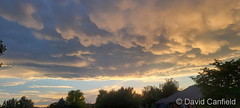 July 17, 2023 - Gorgeous mammatus clouds at sunset. (David Canfield)