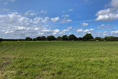 [3046] Fields in Samlesbury, England