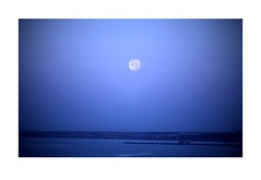 Blue hour moonset