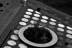 urban geometry: circles
