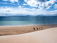 Emu Beach