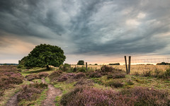 Dramatic Skies Over Roydon Common At Sunset