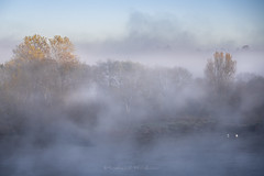 La brume, la lumière, la Loire