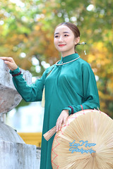 Graceful beauty adorned in a traditional Vietnamese dress, her hair in a bun, holding a traditional Vietnamese flat palm hat, amidst the brilliant golden foliage in the morning light of the communal courtyard.