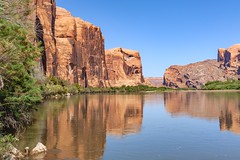 *Colorado River reflections*