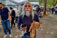 TWO DOGS WITH A MAN