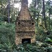 Overgrown fireplace in cabin ruins, Ridgeway, Wisconsin