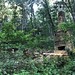 Ruins of old cabin, Ridgeway Pine Relict, Wisconsin