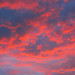Sunset (31 July 2023) (Buffalo, Wyoming, USA) 1
