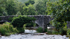 Fingle Bridge, from Fingle Bridge Inn