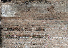 old exposed brick wall / Savannah Georgia