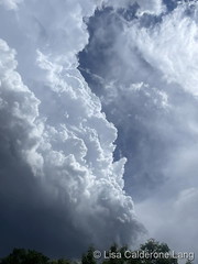 August 3, 2023 - Way cool thunderstorm. (Lisa Calderone Lang)