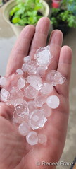 August 3, 2023 -  A handful of hail. (Renee Franz)