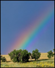 August 3, 2023 - Beautiful rainbow. (Bill Hutchinson)