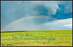 August 3, 2023 - Rainbow on the plains. (Bill Hutchinson)