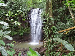 Bamboo Falls
