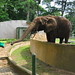 zoo d'Abidjan