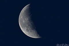DSC_0610 Waning Crescent Moon