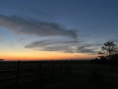 August 8, 2023 - A gorgeous sunrise on the plains. (Al Feuerborn)