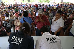 20230810 AI  ENTREGA PROGRAMA ADULTO MAYOR PAM CAHABÓN ALTA VERAPAZ  6 (6) by Gobierno de Guatemala