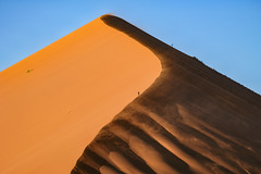 Dune 40 #2