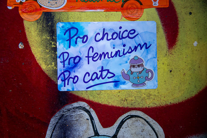 pro choice - pro feminism - pro cats<br/>© <a href="https://flickr.com/people/24761036@N00" target="_blank" rel="nofollow">24761036@N00</a> (<a href="https://flickr.com/photo.gne?id=53124858569" target="_blank" rel="nofollow">Flickr</a>)