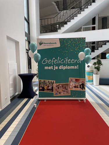 Gronddecoratie 3ballonnen Geslaagd Diplomering Diploma Uitreiking Hoornbeeck College Rotterdam