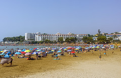 Playa de Las Fuentes (Alcoceber), agosto 2023