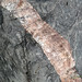 Granite dike in Pleistocene glacial erratic (Crawfordsville, Indiana, USA) 1