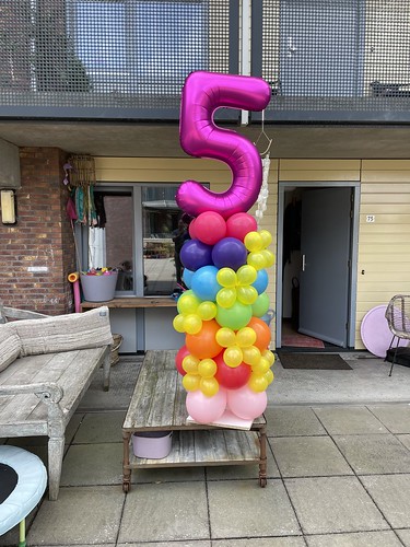 Balloon Column Organisch Birthday 5 Years Philips Willemstraat Rotterdam