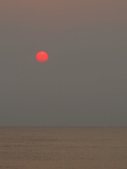 Red Sun Rising images