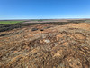 Western Australia, Wheat Belt, The Humps PXL_20230702_034737195.jpg