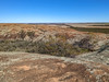 Western Australia, Wheat Belt, The Humps PXL_20230702_034754036.jpg