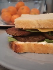 Seitan Sandwich! (Vegan)