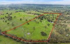 827 Trial Hill Road, Pewsey Vale SA
