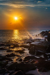Atlantic Ocean Sunrise (227/365)