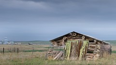 Abandoned Shack Prairie Town 6461 A