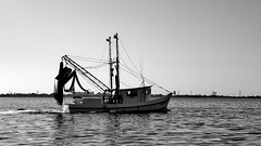 Texas Coast Shrimp Boats