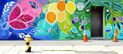 The Hydrant and Mural