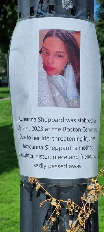 Boston Common USA, Summer 2023<br/>© <a href="https://flickr.com/people/20923094@N04" target="_blank" rel="nofollow">20923094@N04</a> (<a href="https://flickr.com/photo.gne?id=53176180832" target="_blank" rel="nofollow">Flickr</a>)