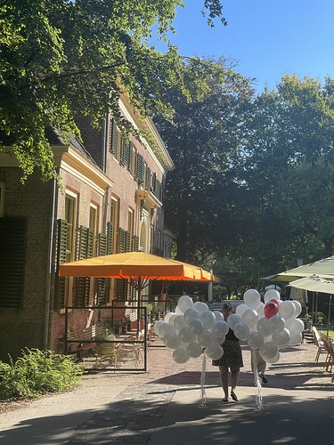 Heliumballonnen Huwelijk Trouwen Bruiloft Het Heerenhuys Dudok in Het Park Rotterdam