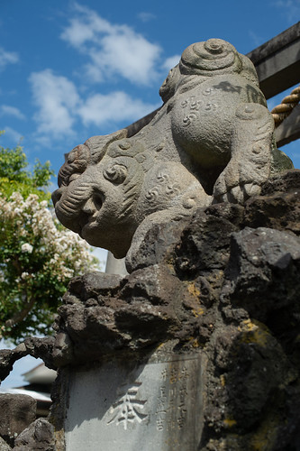 茅ヶ崎八雲神社の狛犬さん 阿