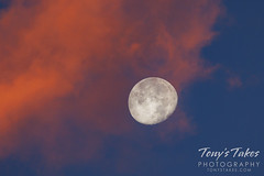 September 2, 2023 - Setting moon and orange clouds at sunrise. (Tony's Takes)