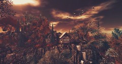 Autumn's Silence
